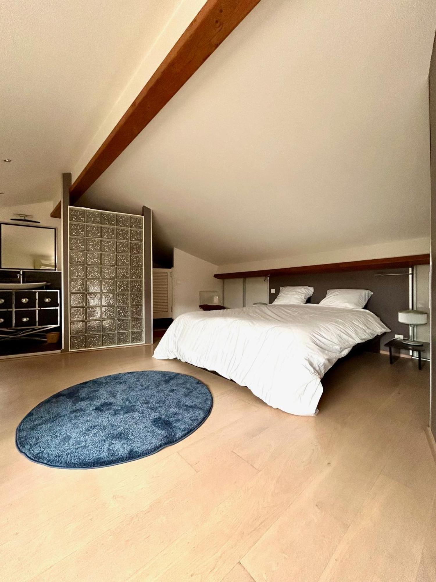 Loft Garonne - Centre Ville Immeuble Privatif Toulouse Exterior foto